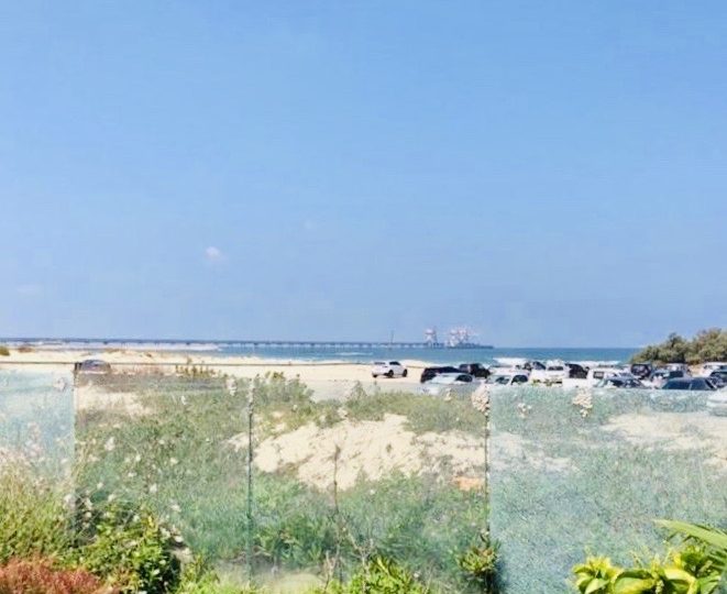 נכסים להשכרה בחוף הכרמל
